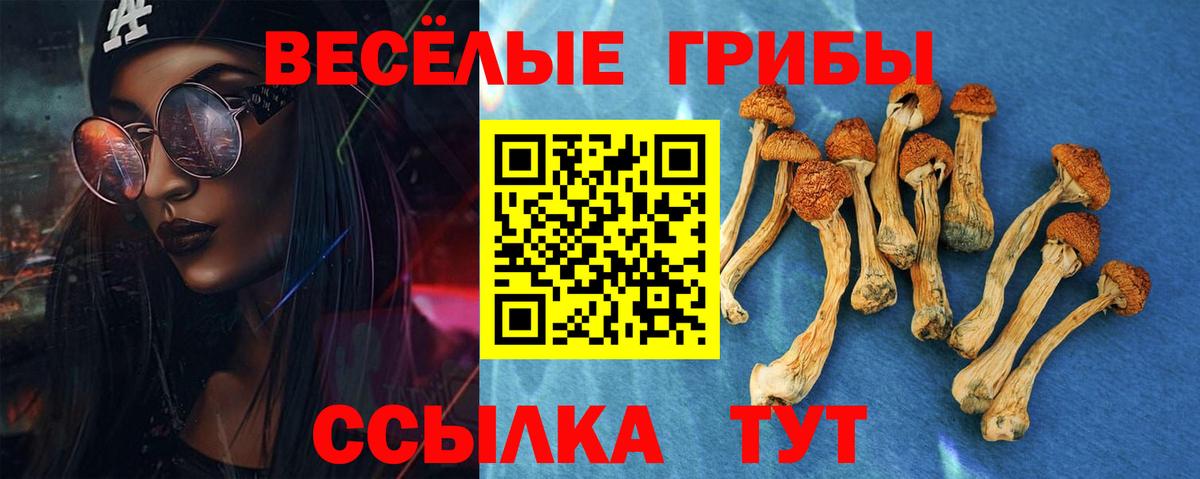 Псилоцибиновые грибы мицелий  Вход с VPN  Галлюциногенные грибы Psilocybe  Вичуга 